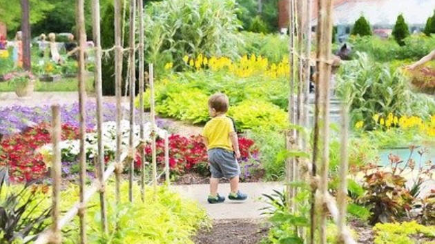 ガーデンデザイン 今からお庭のリニューアル なおみな Coconalaブログ