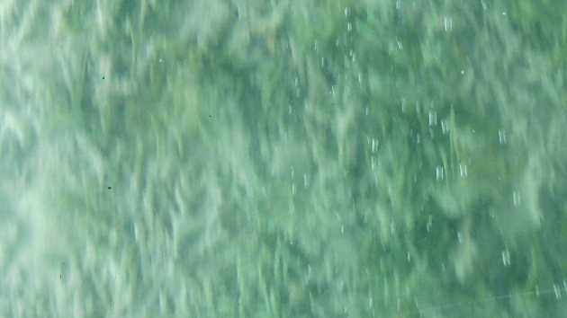 本当のことは・・こころの奥にしまっておこう・・っと