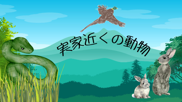 実家近くの動物