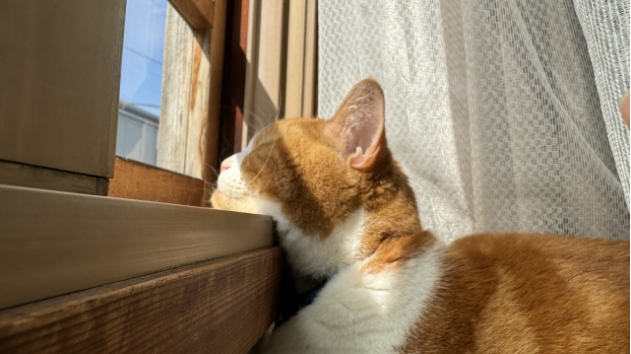 未来を不安に思うなら
