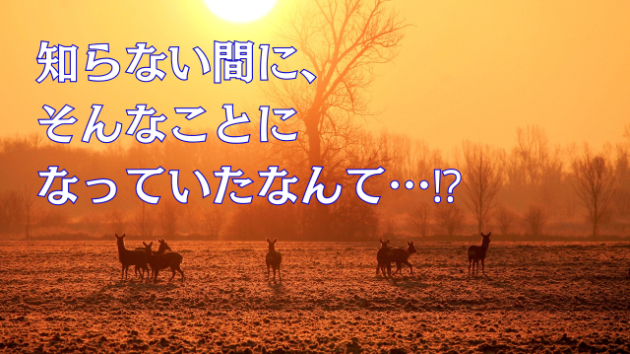 知らない間に、そんなことになっていたなんて…⁉