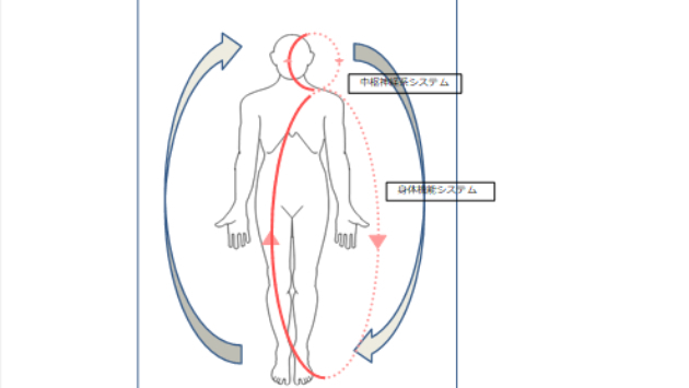 気の巡りには3つの方向性がある？