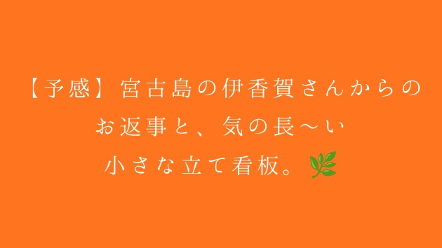 【予感】宮古島の伊香賀さんからのお返事と、気の長〜い小さな立て看板。🌿