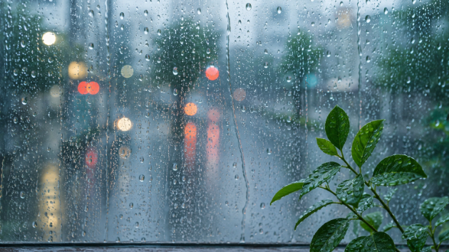 大雨の日でも変わらない日常