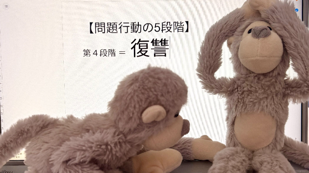 問題行動の5段階【第4段階】復讐🌿