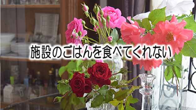施設のご飯が口に合わなくて…