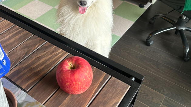 カバー画像
