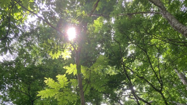 真実の言葉 66【神との友情】