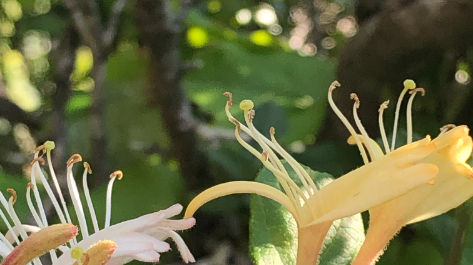 可能性が広がるとき