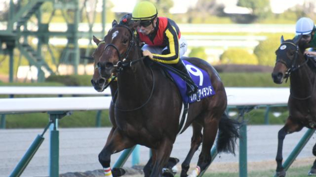 [重賞展望]阪神ジュベナイルＦの傾向と平日推奨馬