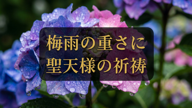 カバー画像