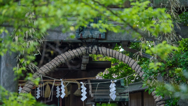 6月30日、夏越の大祓。上半年の穢れを祓い落とす、神主が教える正しい祓い方