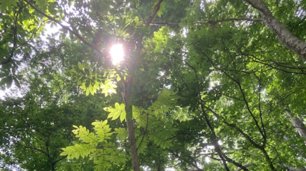 真実の言葉②【神との対話①】