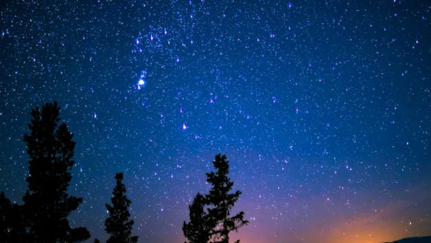 西洋占星術の起源と、現代的な「星」との付き合い方