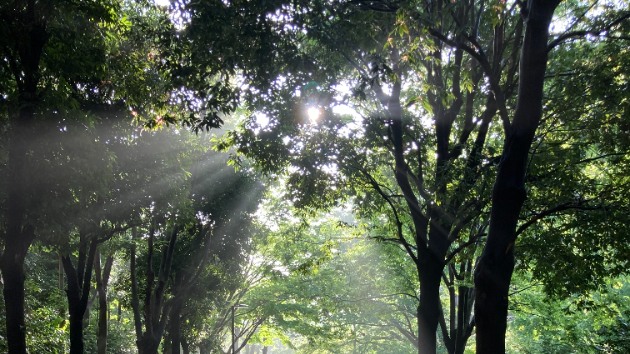 神との友情 下　第二十一章 『どこにいても、愛を広め、愛を分かち合い、愛になりなさい。・・・』