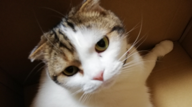 必要な・・・