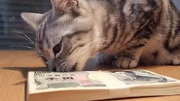 カバー画像