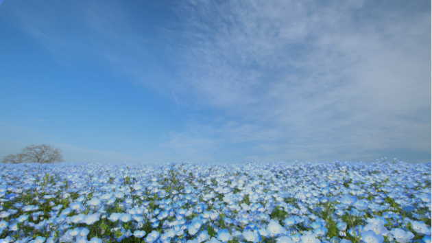 人に嫌なことを言われると、ずっと引きずってしまうとき