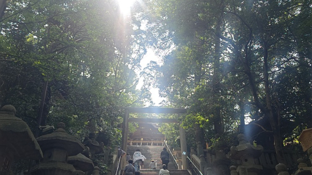 碧い海と神々の息吹に包まれる。「香川・広島パワースポットめぐり」心と体を整える浄化の旅