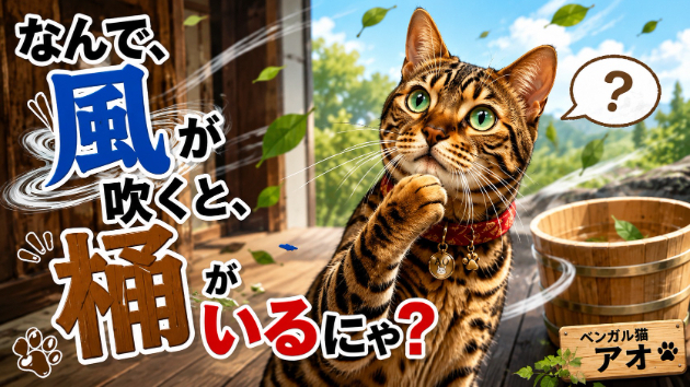カバー画像