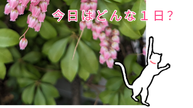 今日はどうなる？(2023/4/13)