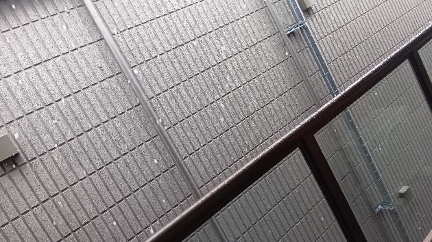 東京は雪