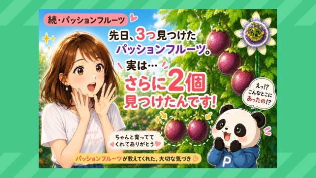 ♡続・パッションフルーツ♡
