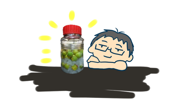 ブログ31日目