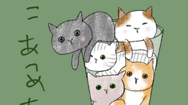 猫あつめた