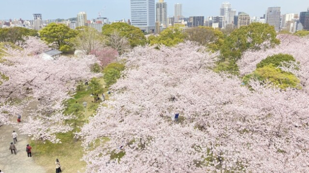 カバー画像