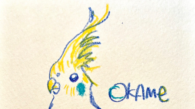 カバー画像