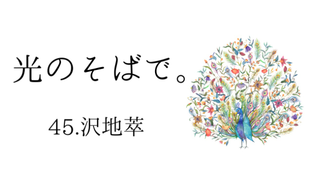 カバー画像
