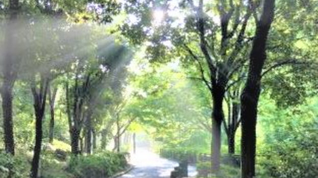 新しき啓示　第十一章 『問題はあなたが自己中心的なことでなく、中心になる「自己」の定義が…』