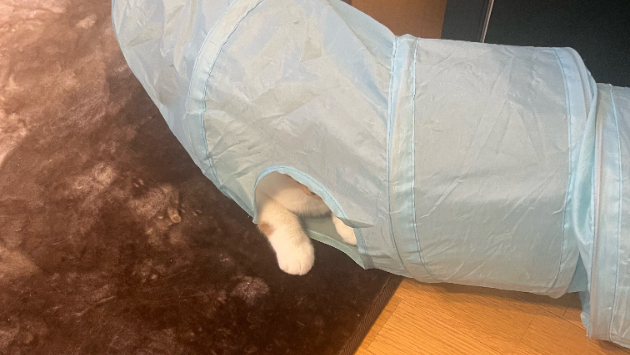 カバー画像