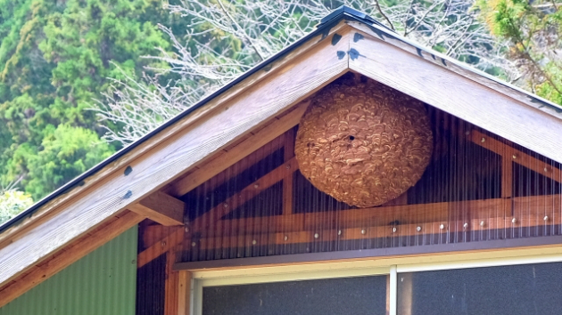 カバー画像