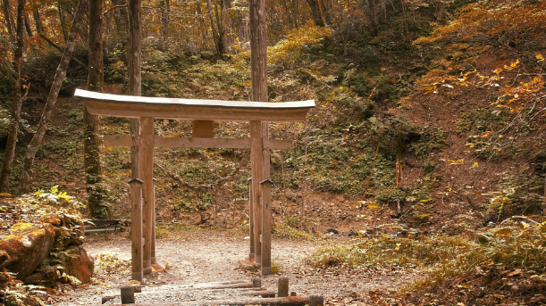 なぜ人は霊視に惹かれるのでしょうか