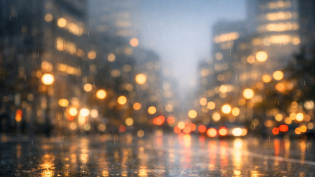 雨の日の選択が人生を変える。心がほどけた日