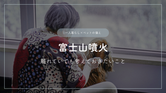 カバー画像