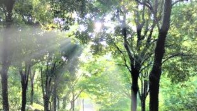神との対話④ 第一章 『いま、その時季が来たのだ』