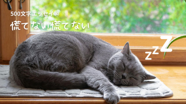 カバー画像