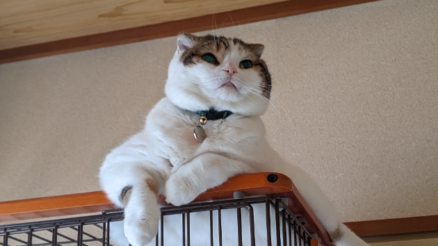 カバー画像