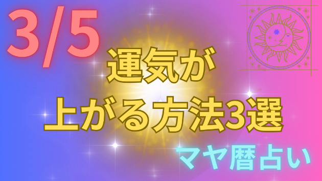 今日の占い🔮