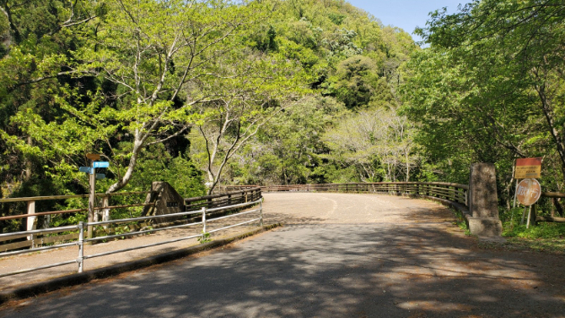 生駒山ハイキングの下見