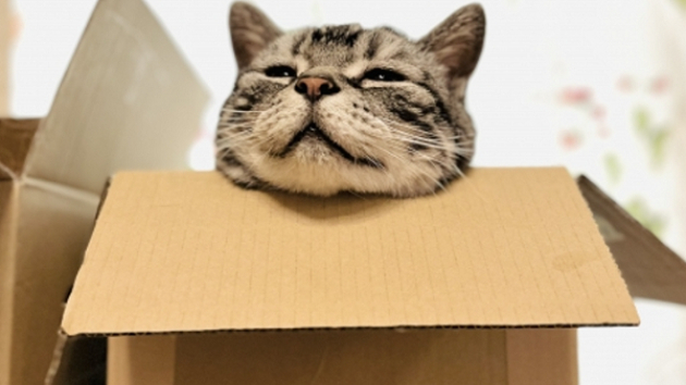 カバー画像