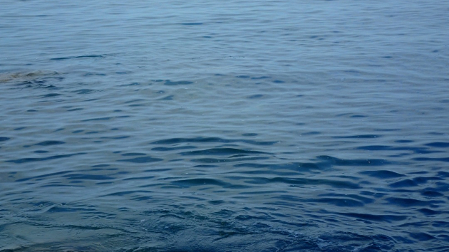 2/2　海辺19
