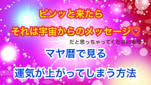３月１日の運気が上がってしまう方法🌈