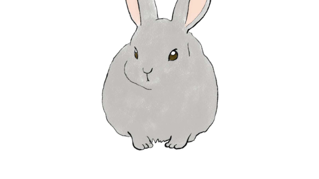 カバー画像