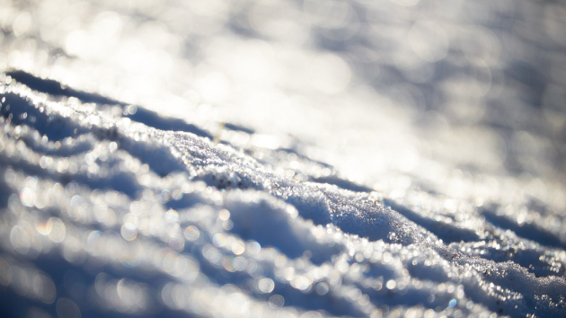 雪ですね⛄