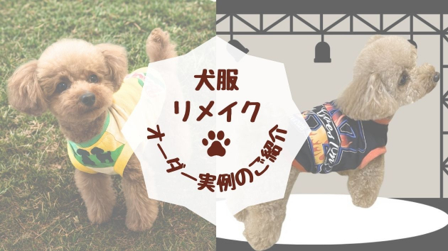 カバー画像