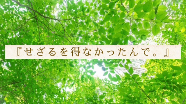 カバー画像